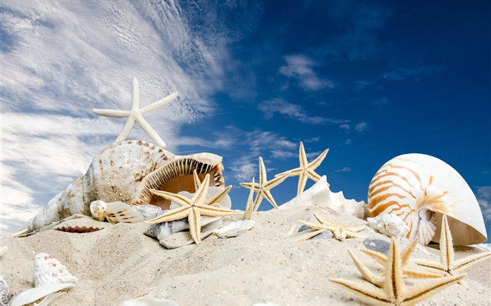 Strand, Muscheln, Seesterne, blauer Himmel Hintergrundbilder Bilder