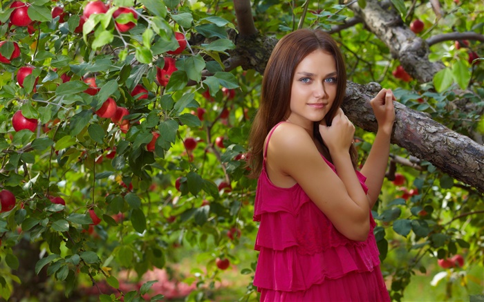 Blaue Augen Mädchen, roten Kleid, Apfelbaum , roten Äpfeln Hintergrundbilder Bilder