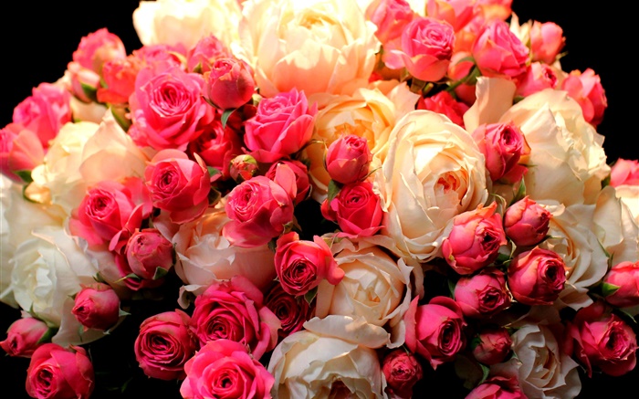 Bouquet Rosenblüten , rot und weiß Hintergrundbilder Bilder