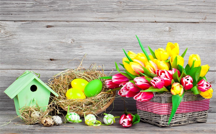 Ostern, bunte Eier, Tulpen Blumen Hintergrundbilder Bilder