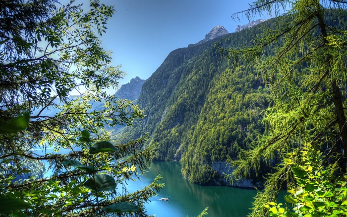 Deutschland, Bayern, Berge, Wald, Bäume, Fluss Hintergrundbilder Bilder