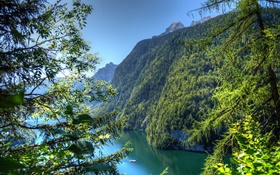 Deutschland, Bayern, Berge, Wald, Bäume, Fluss HD Hintergrundbilder