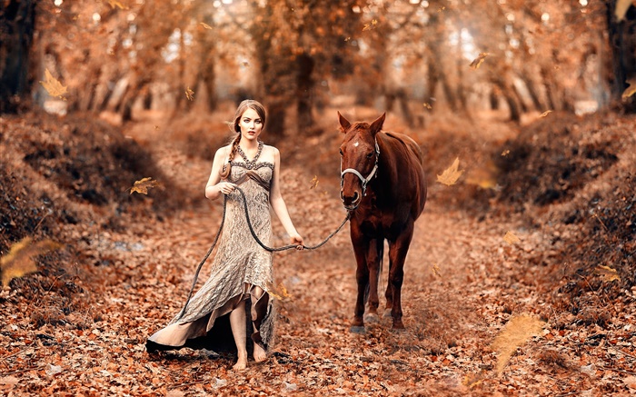 Mädchen und Pferd, Herbst, gelbe Blätter Hintergrundbilder Bilder