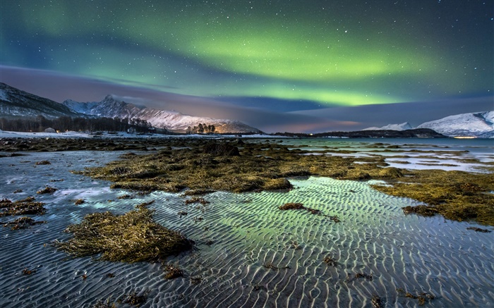 Norwegen, Nordlicht , Nacht, Sterne, Meer, Küste, Winter, Schnee Hintergrundbilder Bilder