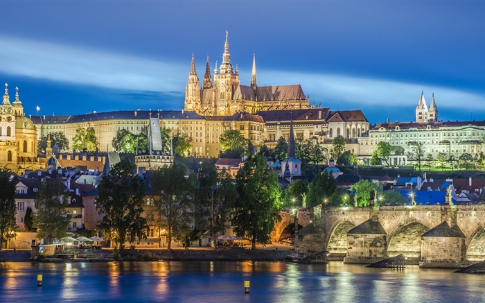 Prag, Tschechische Republik, Fluss, Brücke, Kathedrale von St. Veit, Nacht, Lichter Hintergrundbilder Bilder