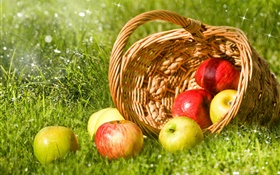 Rote und grüne Äpfel, Obst, Korb, Gras HD Hintergrundbilder