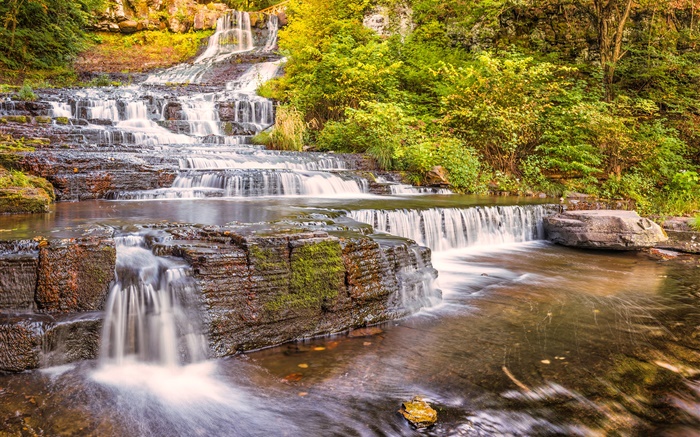 Wasserfälle , Felsen, Bäume, Herbst Hintergrundbilder Bilder