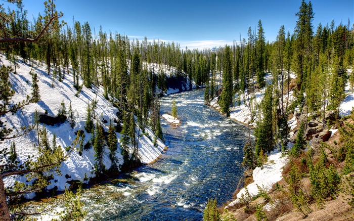 Yellowstone National Park, USA, Wald, Bäume, Fluss, Schnee, Winter Hintergrundbilder Bilder