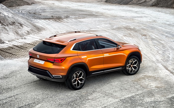2015 Sitz 20V20 Konzept SUV orange Auto Hintergrundbilder Bilder