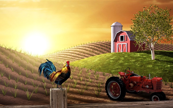 3D-Bilder, Bauernhof, Feld, Traktor, Hahn, Haus, Sonne Hintergrundbilder Bilder