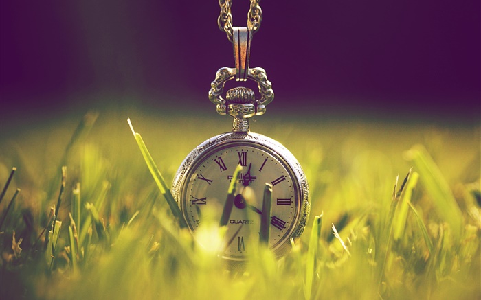 Uhr im Gras, Grün, Sonnenlicht Hintergrundbilder Bilder