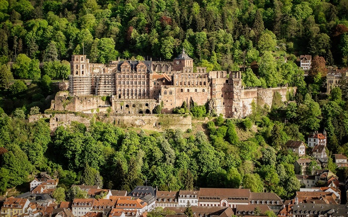 Deutschland, das Heidelberger Schloss, Bäume, Häuser Hintergrundbilder Bilder