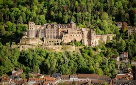 Deutschland, das Heidelberger Schloss, Bäume, Häuser HD Hintergrundbilder