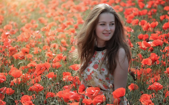 Mädchen im Blumenfeld , rote Mohnblumen , Sommer Hintergrundbilder Bilder