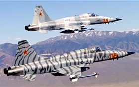 Northrop F-5 Freiheitskämpfer , Tiger II HD Hintergrundbilder