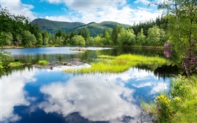 Schottland, Großbritannien , Grün, Bäume, Berge, See, Wasser Reflexion