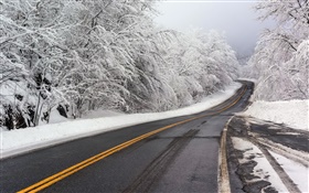 Winter, Schnee, Straße, Bäume, weiß HD Hintergrundbilder