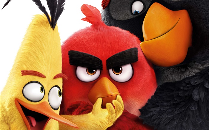 2016 Angry Birds Hintergrundbilder Bilder