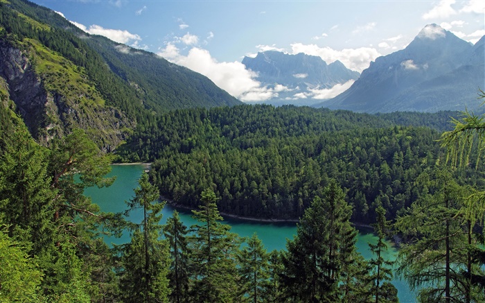 Österreich, Tirol, Berge, Wälder, Bäume, Fluss Hintergrundbilder Bilder