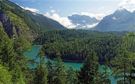 Österreich, Tirol, Berge, Wälder, Bäume, Fluss HD Hintergrundbilder