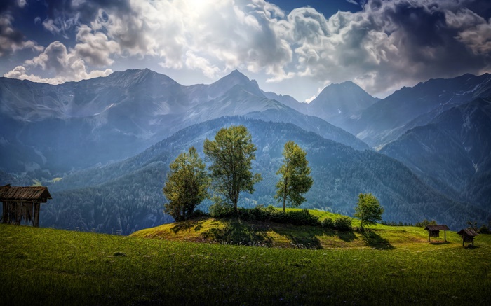 Österreich, Berge, Bäume, Wolken, Gras Hintergrundbilder Bilder