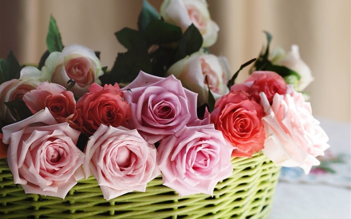 Korb, Rosen, rosa, weiß, rote Blumen Hintergrundbilder Bilder