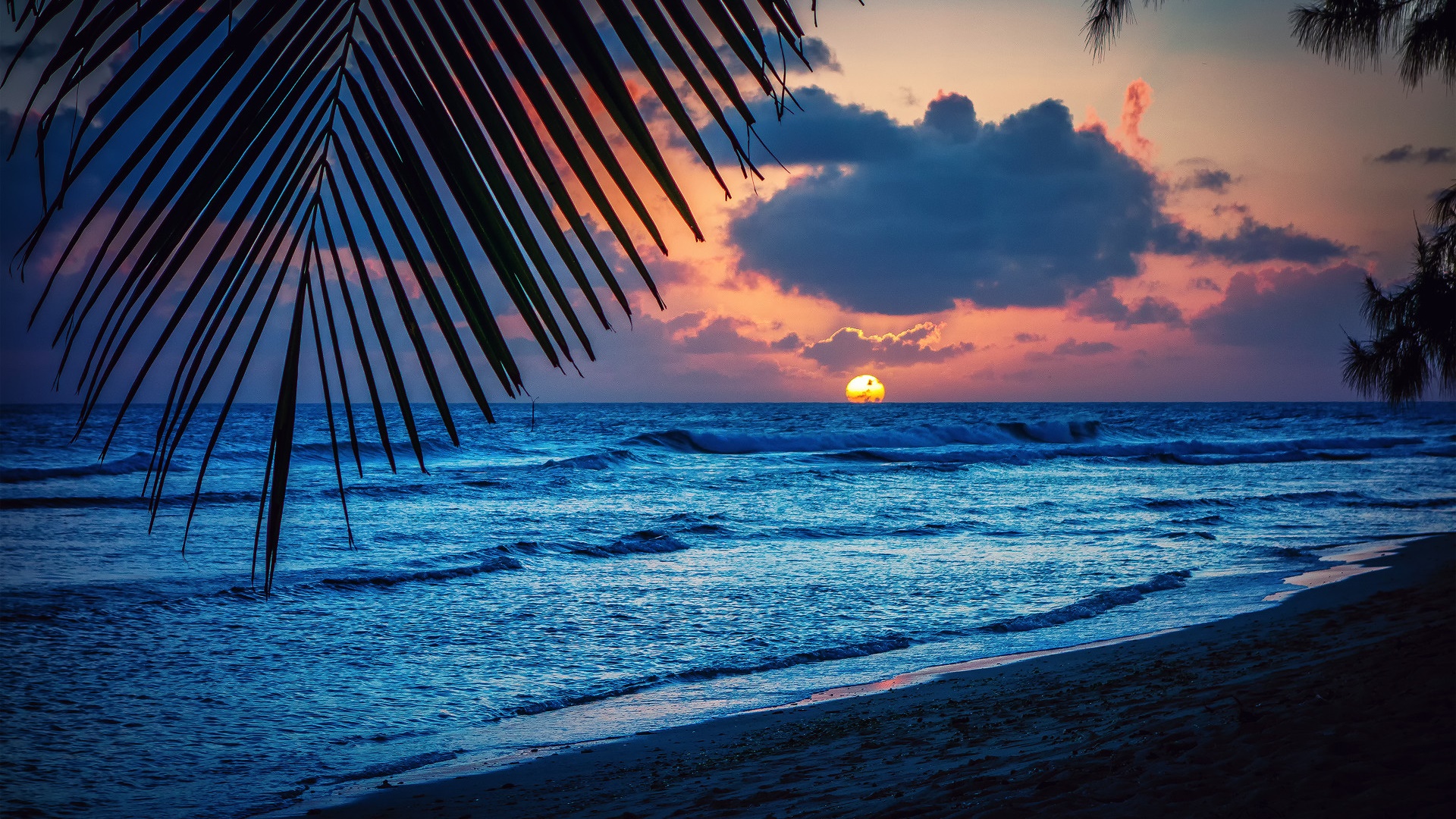 Strand, Abend, Sonnenuntergang, Wolken, Blätter, Karibik Desktop