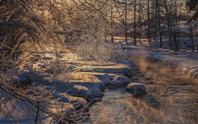 Kalter Winter, Bäume, Fluss, dicken Schnee HD Hintergrundbilder