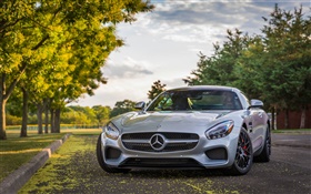 Mercedes-AMG GT S Sportwagen  Vorderansicht , Bäume HD Hintergrundbilder