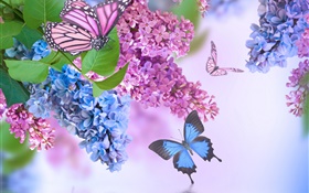 Lila Blüten, lila, Schmetterling HD Hintergrundbilder