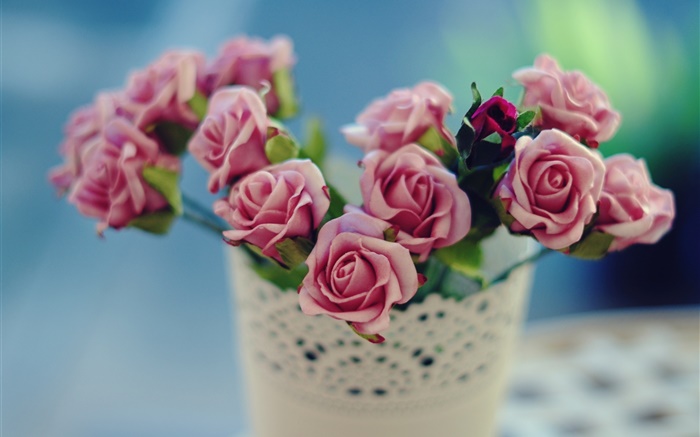 Rose Blumen, rosa, Vase, Unschärfe Hintergrund Hintergrundbilder Bilder