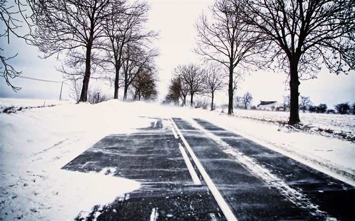 Schnee, Winter, Straße, Bäume, Stromleitungen , Haus Hintergrundbilder Bilder