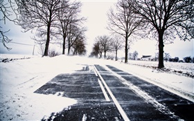 Schnee, Winter, Straße, Bäume, Stromleitungen , Haus HD Hintergrundbilder