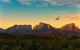 USA, Arizona, Berge, Sonnenuntergang, Vögel fliegen, Dorf, Dämmerung