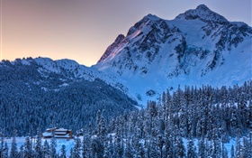 Winter, Schnee, Berg, Bäume, Dämmerung HD Hintergrundbilder