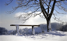 Winter, Schnee, Baum, Bank HD Hintergrundbilder