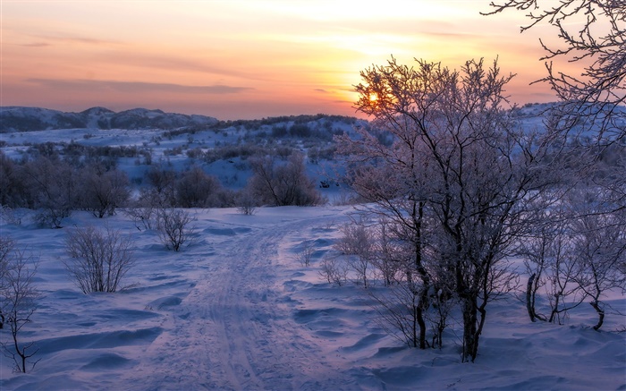 Winter, Schnee, Bäume, Sonnenuntergang, Straße Hintergrundbilder Bilder
