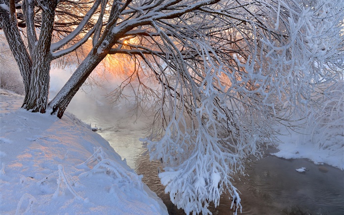 Winter, dick Schnee, Baum, Äste, Fluss, Sonnenuntergang Hintergrundbilder Bilder