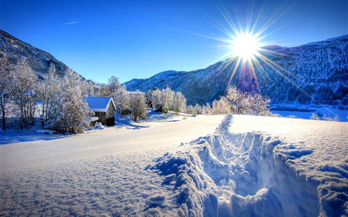 Winter, dick Schnee, Bäume, Haus, Sonne Hintergrundbilder Bilder