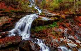 Herbst, Wald, Fluss, Bach, Wasserfälle , Blätter HD Hintergrundbilder