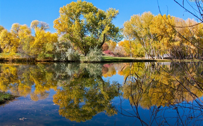 Herbst, Teich, See, Park, Bäume, Wasser Reflexion Hintergrundbilder Bilder