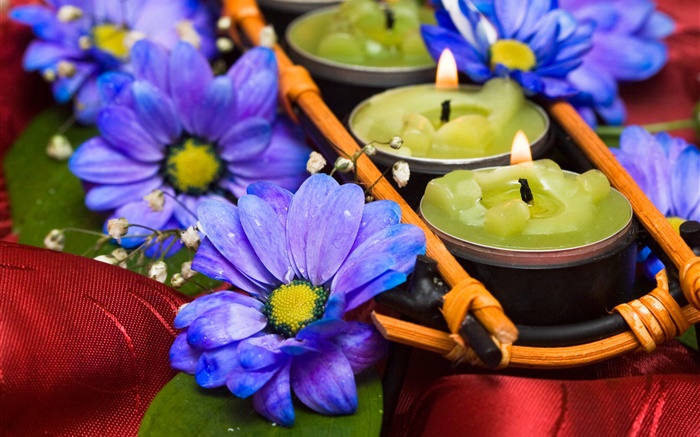 Kerzen, blau Chrysantheme, Romantik Hintergrundbilder Bilder