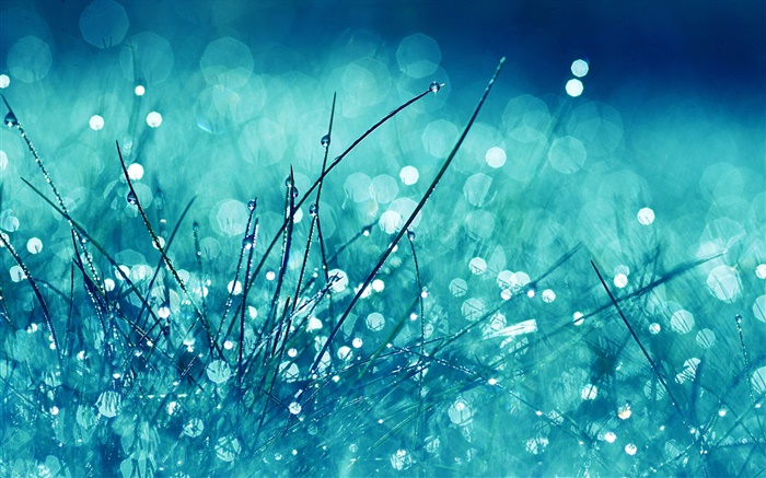 Gras, blau Stil, regen, Wassertropfen , Blendung Hintergrundbilder Bilder