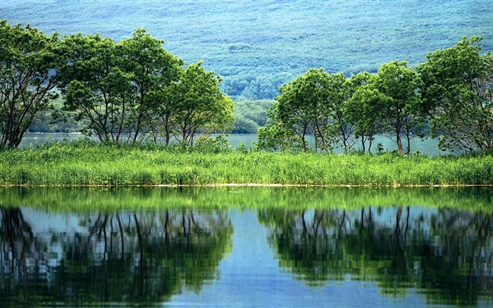 Natur-Landschaft, Bäume, Grün, Fluss, Wasser Reflexion Hintergrundbilder Bilder