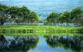 Natur-Landschaft, Bäume, Grün, Fluss, Wasser Reflexion HD Hintergrundbilder