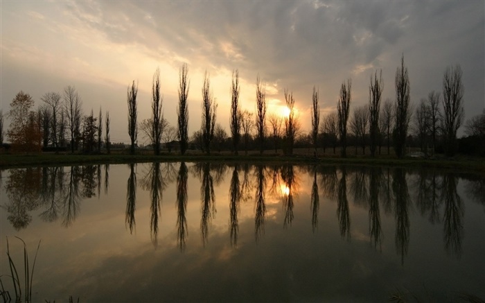Teich, Sonnenuntergang, Bäume Hintergrundbilder Bilder