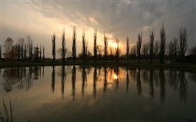 Teich, Sonnenuntergang, Bäume