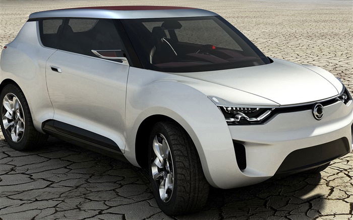 SsangYong XIV-2 Concept Car Hintergrundbilder Bilder