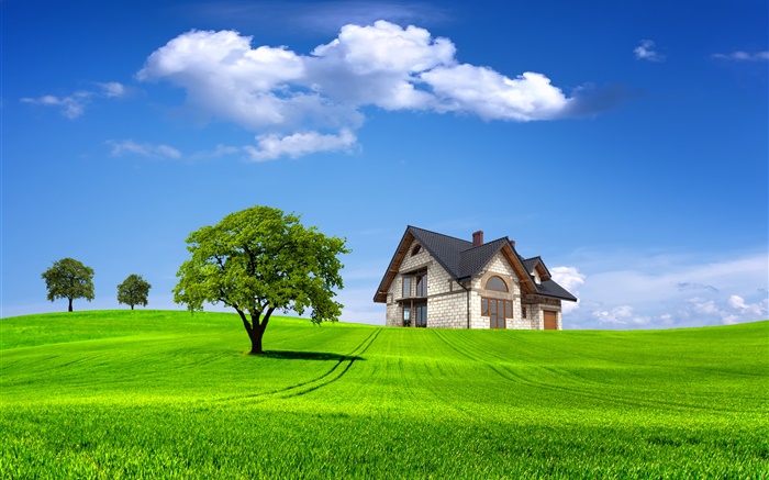 Sommer, Haus, Bäume, Feld, grünes Gras Hintergrundbilder Bilder