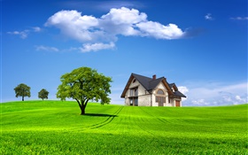 Sommer, Haus, Bäume, Feld, grünes Gras HD Hintergrundbilder